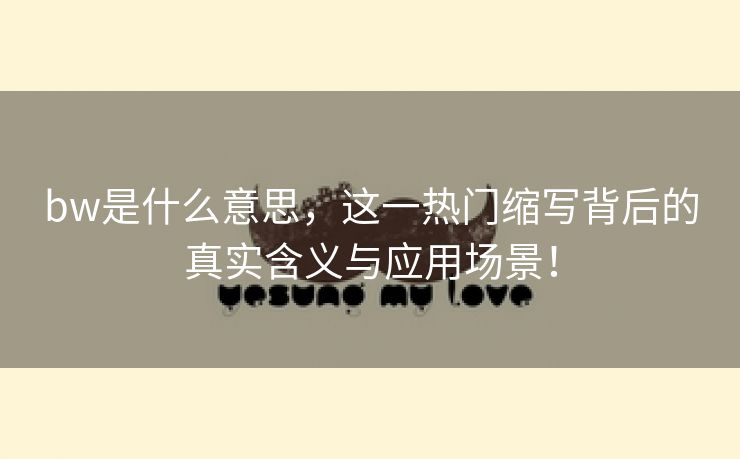 bw是什么意思，这一热门缩写背后的真实含义与应用场景！