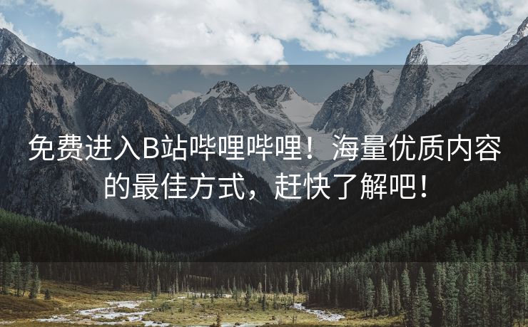免费进入B站哔哩哔哩！海量优质内容的最佳方式，赶快了解吧！