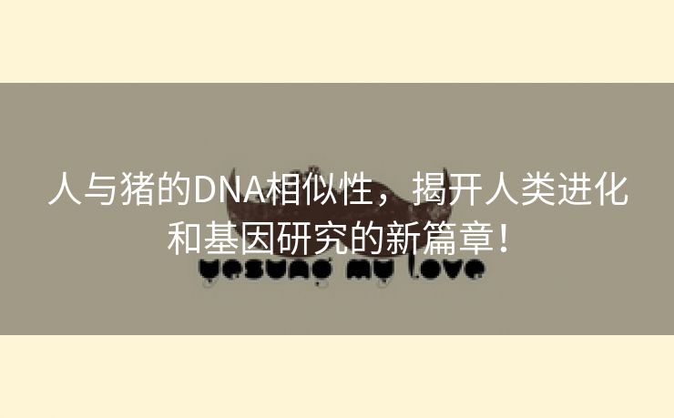 人与猪的DNA相似性，揭开人类进化和基因研究的新篇章！