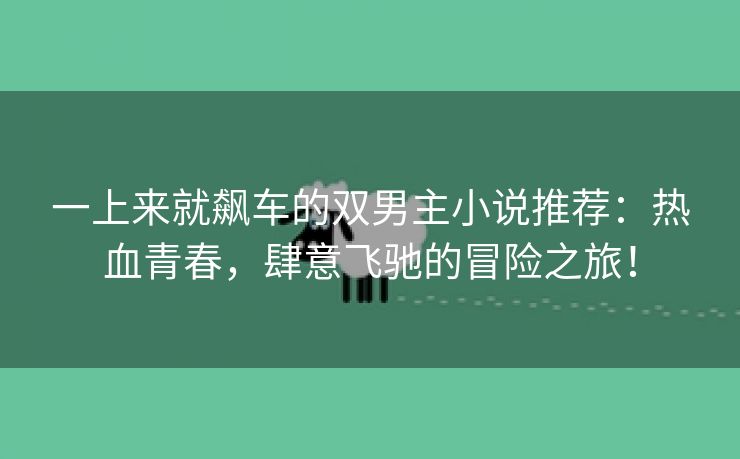 一上来就飙车的双男主小说推荐：热血青春，肆意飞驰的冒险之旅！