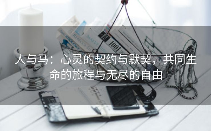 人与马：心灵的契约与默契，共同生命的旅程与无尽的自由