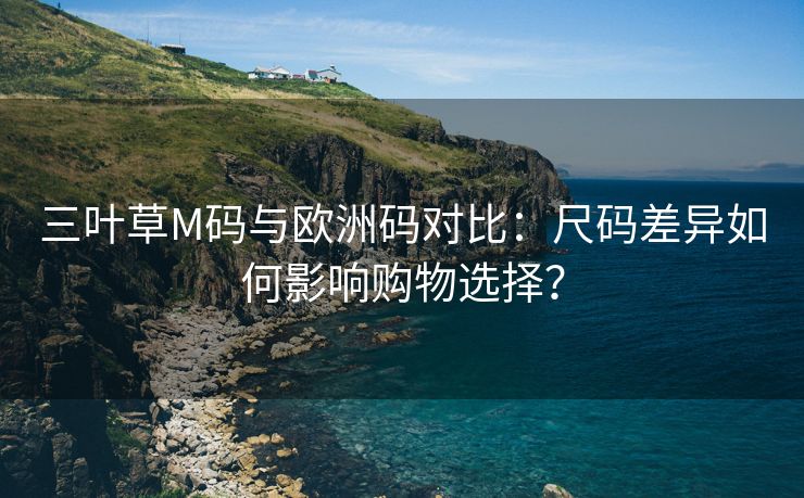三叶草M码与欧洲码对比：尺码差异如何影响购物选择？