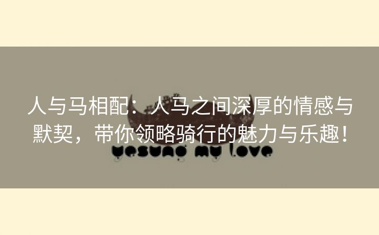 人与马相配：人马之间深厚的情感与默契，带你领略骑行的魅力与乐趣！