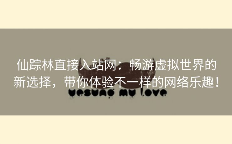 仙踪林直接入站网：畅游虚拟世界的新选择，带你体验不一样的网络乐趣！