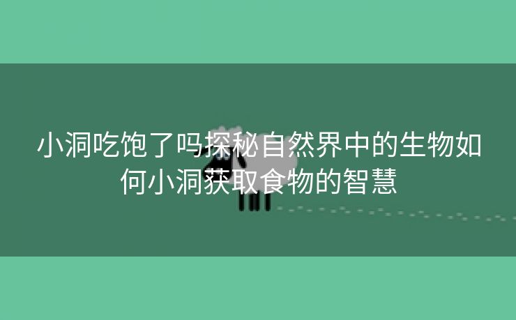小洞吃饱了吗探秘自然界中的生物如何小洞获取食物的智慧