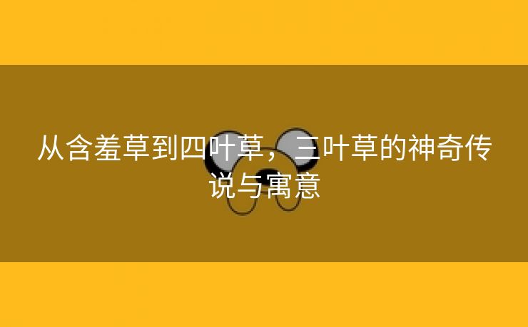 从含羞草到四叶草，三叶草的神奇传说与寓意
