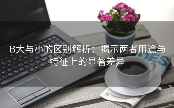 B大与小的区别解析：揭示两者用途与特征上的显著差异
