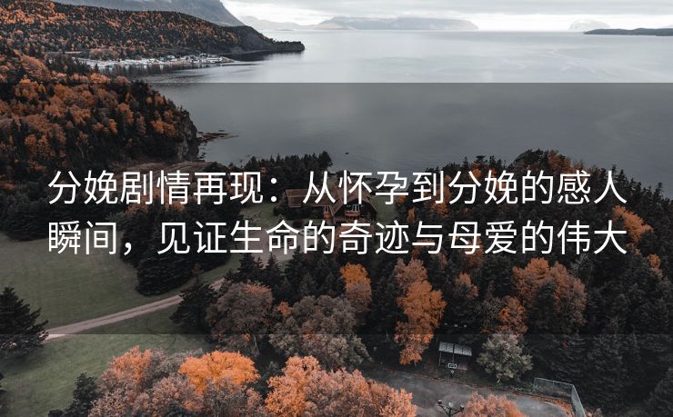 分娩剧情再现：从怀孕到分娩的感人瞬间，见证生命的奇迹与母爱的伟大