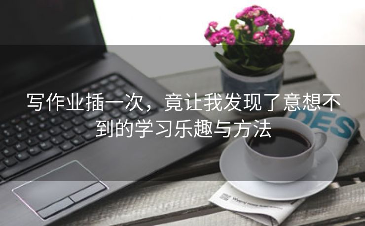 写作业插一次，竟让我发现了意想不到的学习乐趣与方法