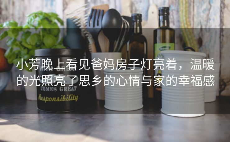 小芳晚上看见爸妈房子灯亮着，温暖的光照亮了思乡的心情与家的幸福感