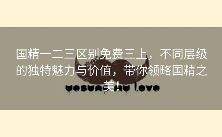 国精一二三区别免费三上，不同层级的独特魅力与价值，带你领略国精之美！