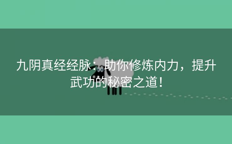 九阴真经经脉：助你修炼内力，提升武功的秘密之道！