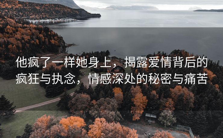 他疯了一样她身上，揭露爱情背后的疯狂与执念，情感深处的秘密与痛苦