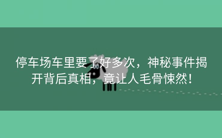 停车场车里要了好多次，神秘事件揭开背后真相，竟让人毛骨悚然！