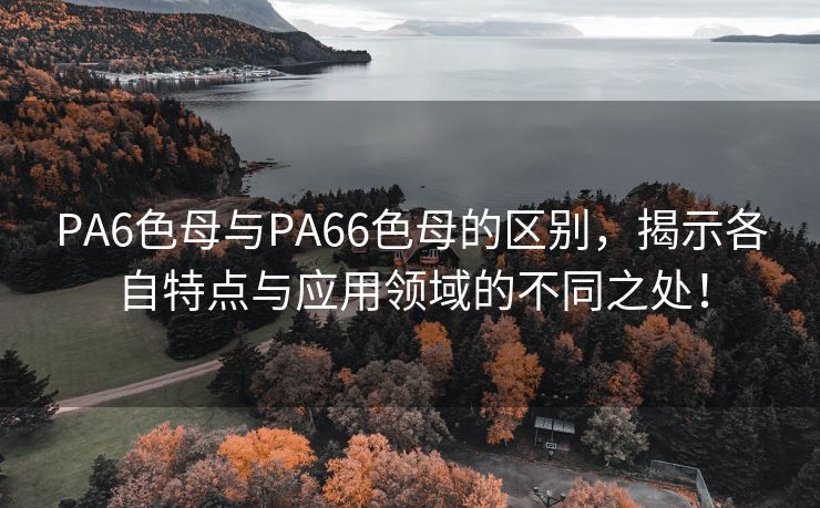 PA6色母与PA66色母的区别，揭示各自特点与应用领域的不同之处！