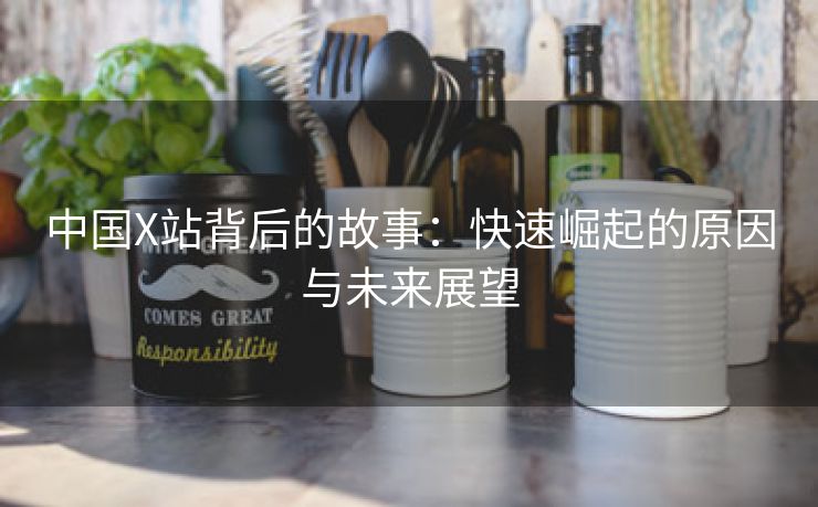 中国X站背后的故事：快速崛起的原因与未来展望