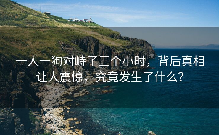 一人一狗对峙了三个小时，背后真相让人震惊，究竟发生了什么？