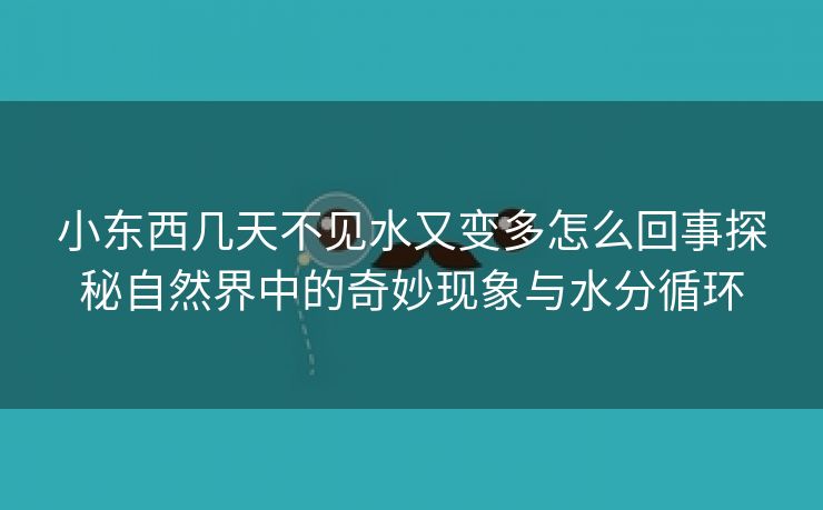 小东西几天不见水又变多怎么回事探秘自然界中的奇妙现象与水分循环