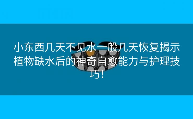 小东西几天不见水一般几天恢复揭示植物缺水后的神奇自愈能力与护理技巧！