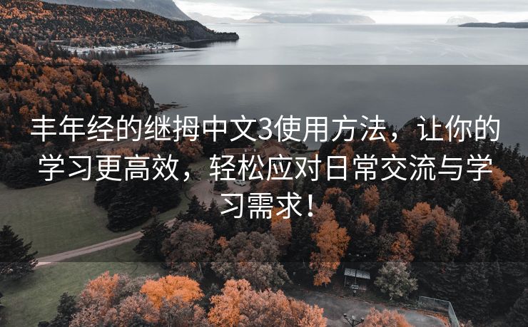 丰年经的继拇中文3使用方法，让你的学习更高效，轻松应对日常交流与学习需求！