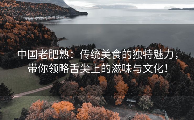 中国老肥熟：传统美食的独特魅力，带你领略舌尖上的滋味与文化！