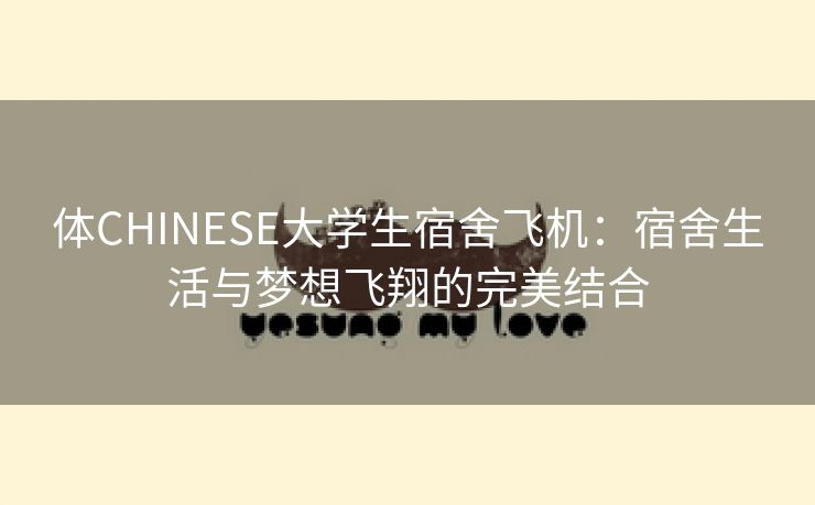 体CHINESE大学生宿舍飞机：宿舍生活与梦想飞翔的完美结合