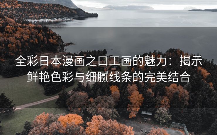 全彩日本漫画之口工画的魅力：揭示鲜艳色彩与细腻线条的完美结合