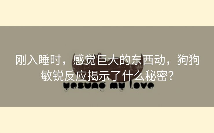 刚入睡时，感觉巨大的东西动，狗狗敏锐反应揭示了什么秘密？