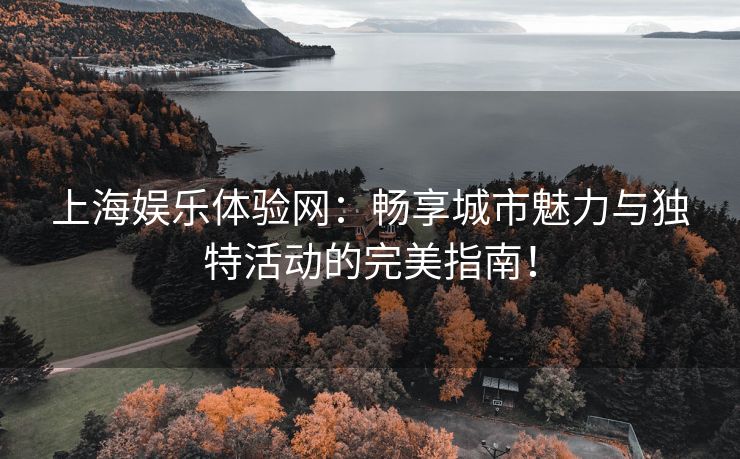 上海娱乐体验网：畅享城市魅力与独特活动的完美指南！