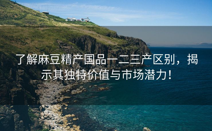 了解麻豆精产国品一二三产区别，揭示其独特价值与市场潜力！