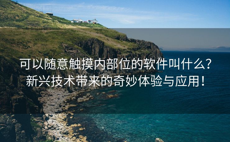 可以随意触摸内部位的软件叫什么？新兴技术带来的奇妙体验与应用！