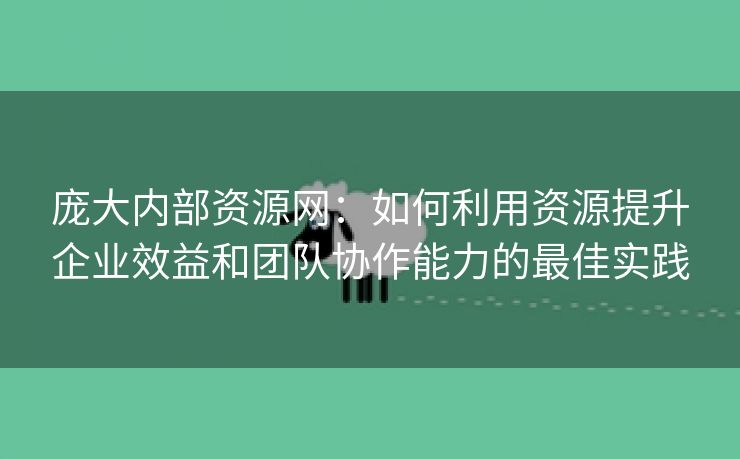 庞大内部资源网：如何利用资源提升企业效益和团队协作能力的最佳实践