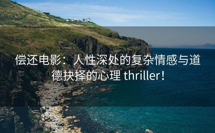 偿还电影：人性深处的复杂情感与道德抉择的心理 thriller！