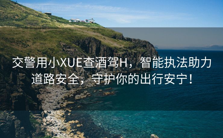 交警用小XUE查酒驾H，智能执法助力道路安全，守护你的出行安宁！