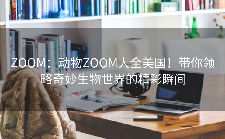 ZOOM：动物ZOOM大全美国！带你领略奇妙生物世界的精彩瞬间