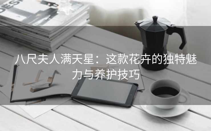 八尺夫人满天星：这款花卉的独特魅力与养护技巧