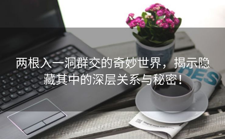 两根入一洞群交的奇妙世界，揭示隐藏其中的深层关系与秘密！