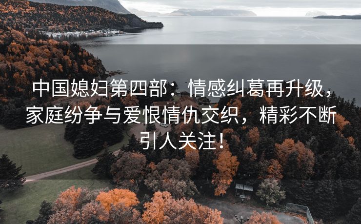 中国媳妇第四部：情感纠葛再升级，家庭纷争与爱恨情仇交织，精彩不断引人关注！