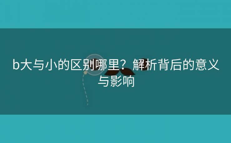 b大与小的区别哪里？解析背后的意义与影响