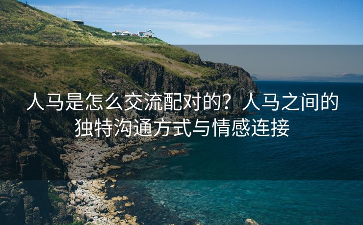 人马是怎么交流配对的？人马之间的独特沟通方式与情感连接