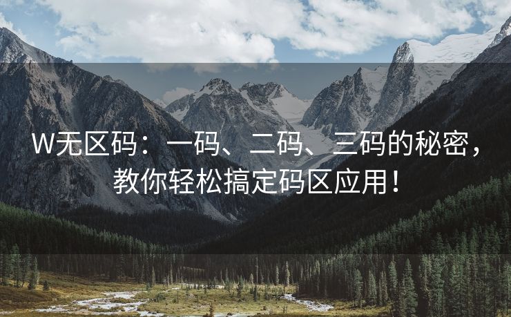W无区码：一码、二码、三码的秘密，教你轻松搞定码区应用！