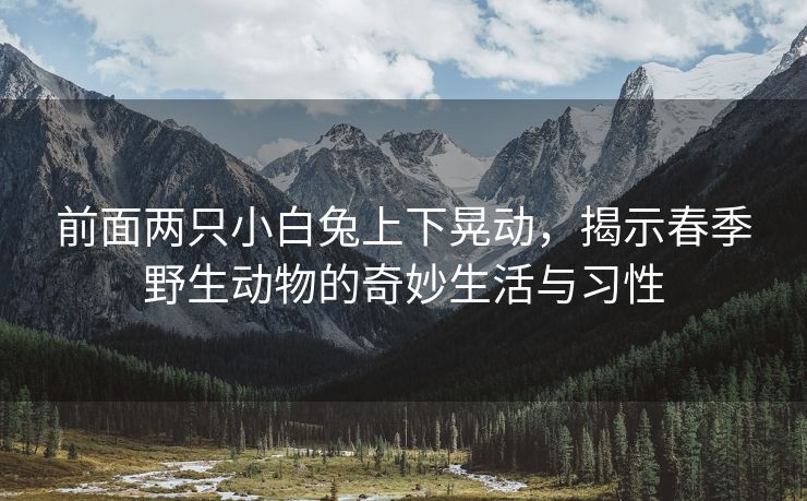 前面两只小白兔上下晃动，揭示春季野生动物的奇妙生活与习性