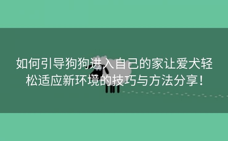如何引导狗狗进入自己的家让爱犬轻松适应新环境的技巧与方法分享！