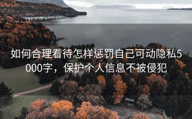 如何合理看待怎样惩罚自己可动隐私5000字，保护个人信息不被侵犯