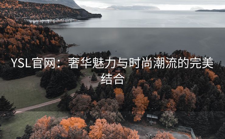 YSL官网：奢华魅力与时尚潮流的完美结合