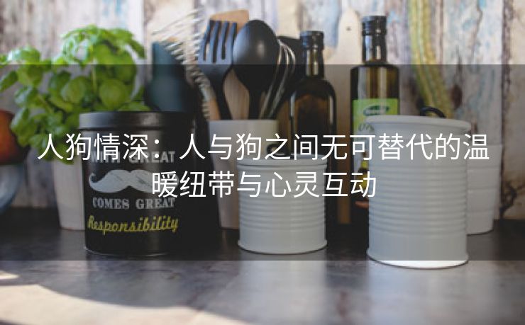 人狗情深：人与狗之间无可替代的温暖纽带与心灵互动