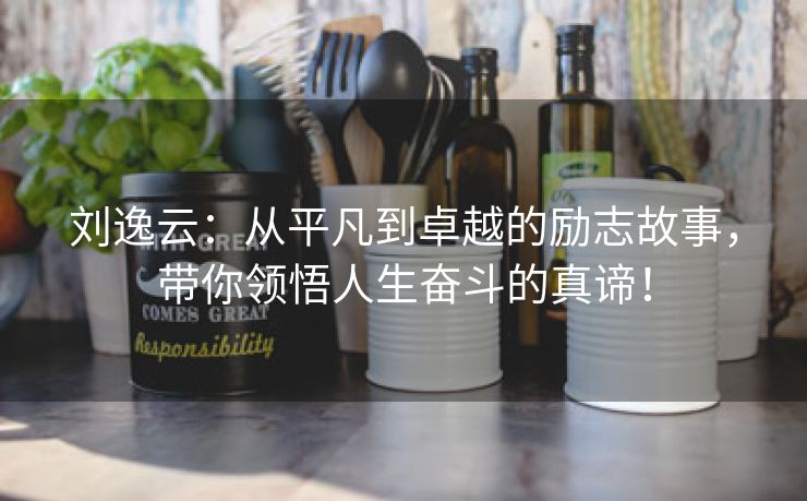 刘逸云：从平凡到卓越的励志故事，带你领悟人生奋斗的真谛！