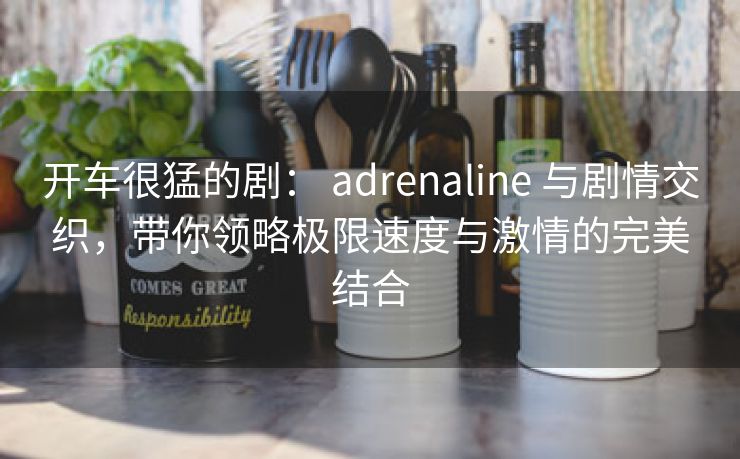开车很猛的剧： adrenaline 与剧情交织，带你领略极限速度与激情的完美结合
