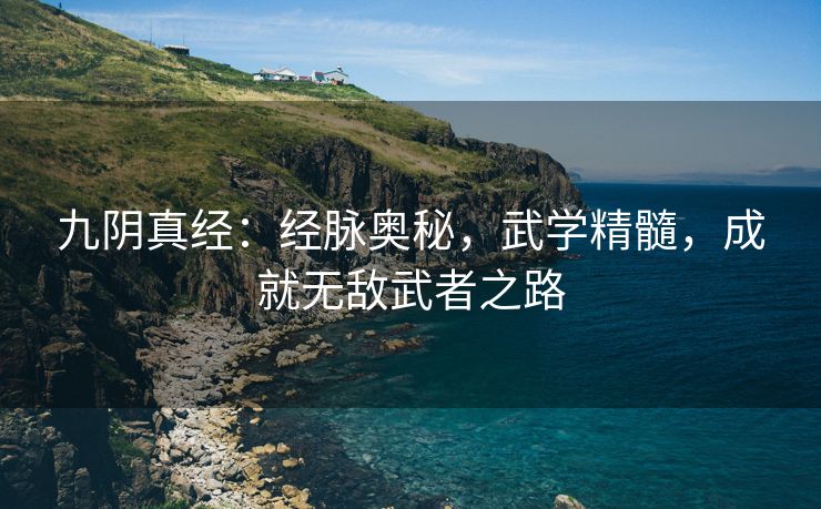 九阴真经：经脉奥秘，武学精髓，成就无敌武者之路