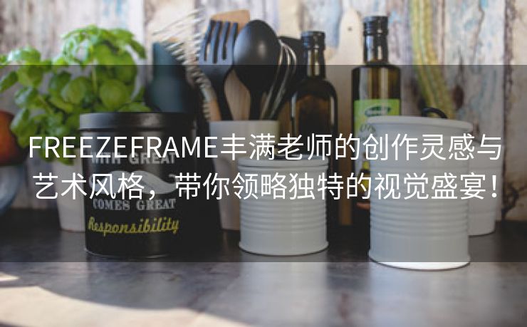 FREEZEFRAME丰满老师的创作灵感与艺术风格，带你领略独特的视觉盛宴！